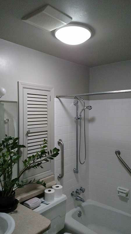 Solar tube in bathroom with large plant to the left and colonial blinds