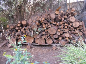 Fire Safe Chimney Sweep - Firewood Stack